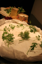 image0003