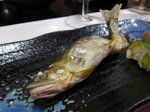 P1010160.JPG