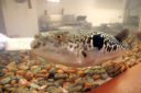 image0024